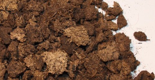 We offer peat in 7 - 20 mm size fractions