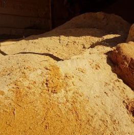 Shavings 1