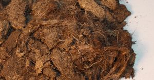 We offer peat in 20 - 40 mm size fractions