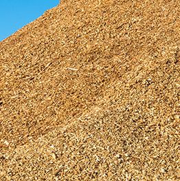 Shavings 2