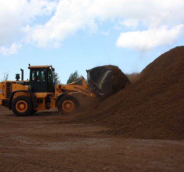 Cut and milled peat 11