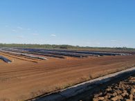 Cut and milled peat 9
