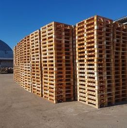 Kokapstrāde paletes 1